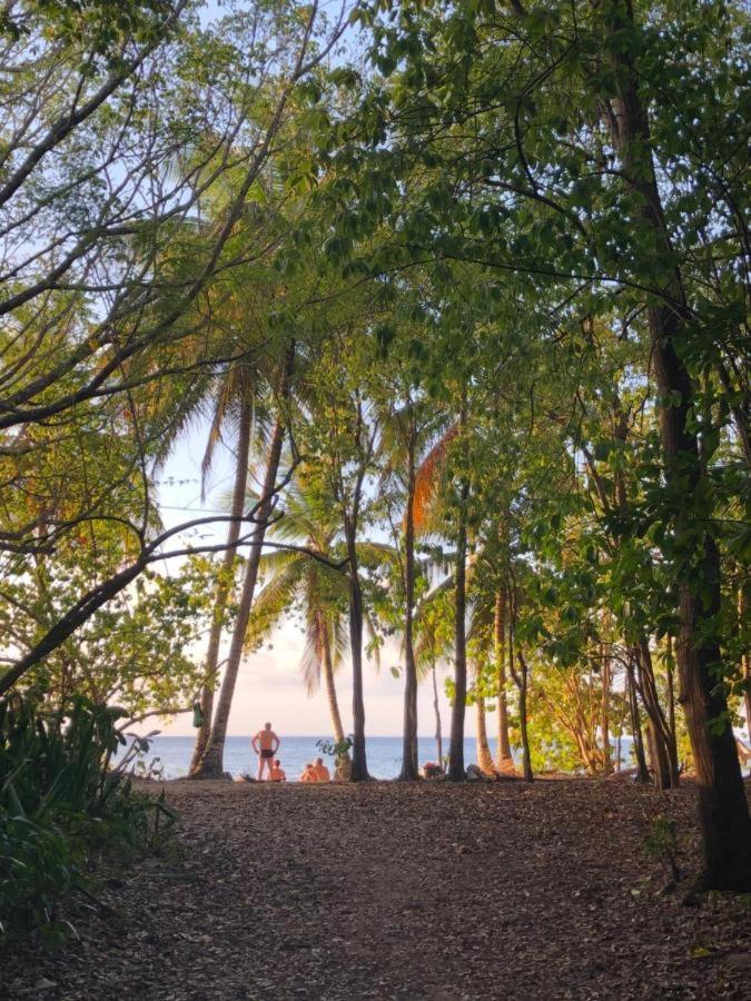 Toumalacai Appart 238 Folle Anse Bagian luar foto