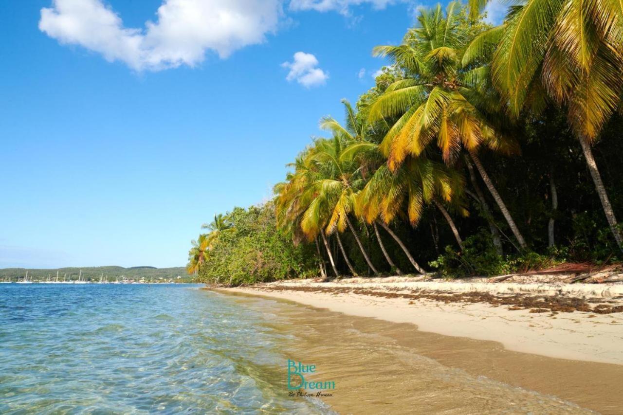 Toumalacai Appart 238 Folle Anse Bagian luar foto